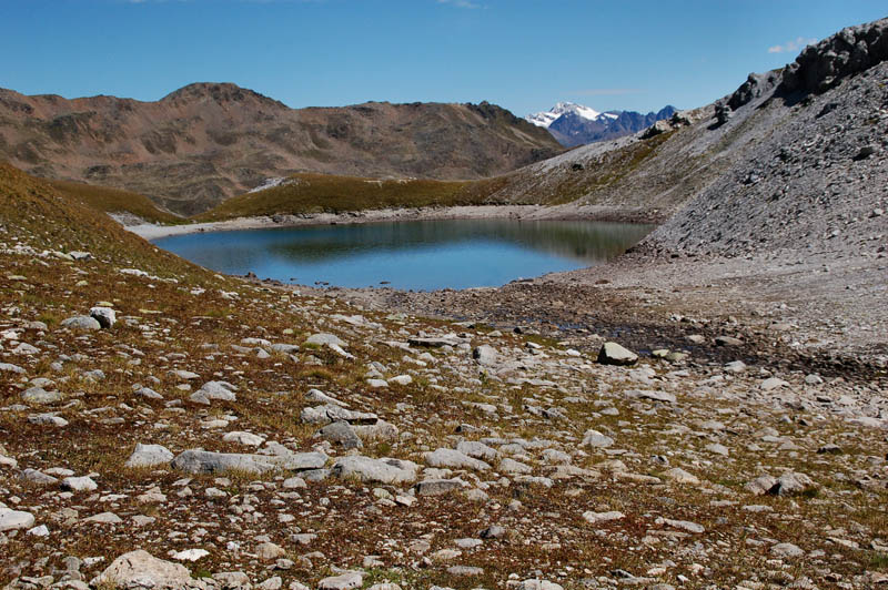 lago sesvenna con caccia grossa (Gipeto)